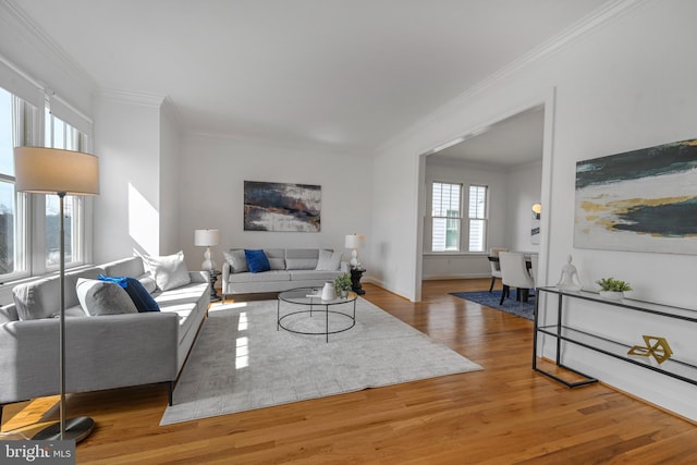 5127 Cathedral Ave NW, Washington, DC 20016 - living room featuring ornamental molding, wood finished floors, and baseboards