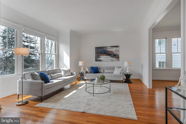 5127 Cathedral Ave NW, Washington, DC 20016 - living room with ornamental molding, baseboards, and wood finished floors