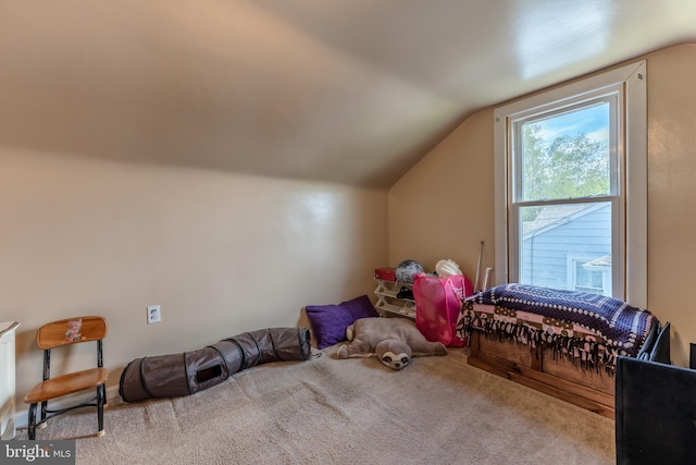 46 Jefferson St, Weatherly, PA 18255 - bonus room with carpet and vaulted ceiling