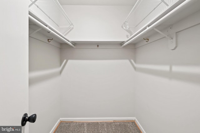 900 W Nolcrest Dr, Silver Spring, MD 20903 - walk in closet with carpet flooring