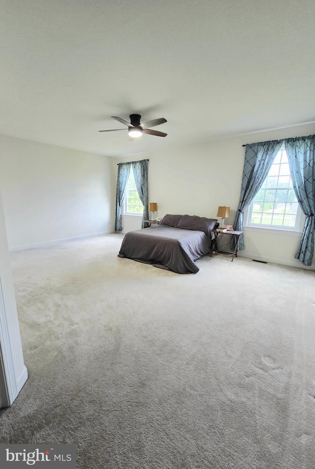 7677 Green Ridge Ln, Abbottstown, PA 17301 - bedroom featuring multiple windows, carpet floors, and ceiling fan