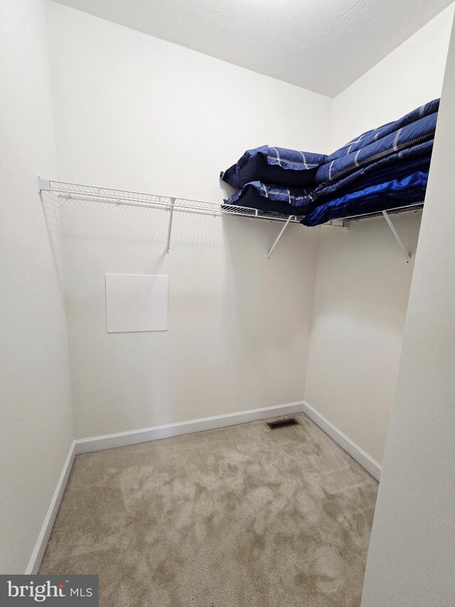 7677 Green Ridge Ln, Abbottstown, PA 17301 - spacious closet featuring carpet floors