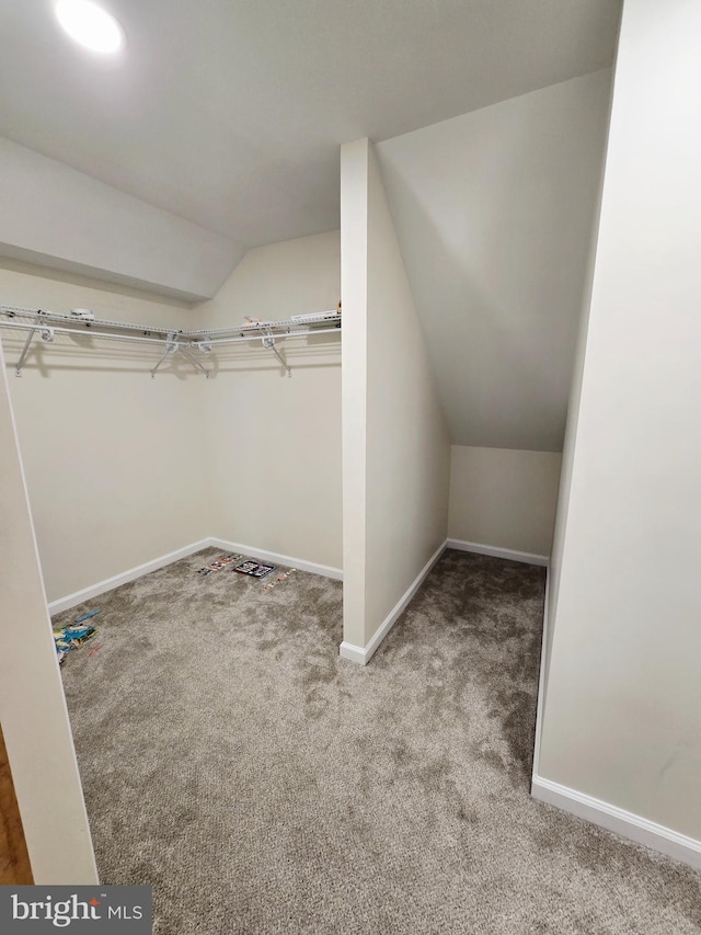 7677 Green Ridge Ln, Abbottstown, PA 17301 - spacious closet with lofted ceiling and carpet