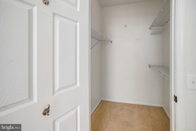 1530 Spring Gate Dr Unit 9308, Mclean, VA 22102 - spacious closet with light carpet
