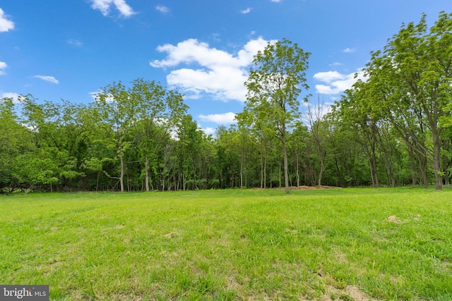 2761 Ebbvale Rd, Manchester, MD 21102 - view of green lawn with a view of trees