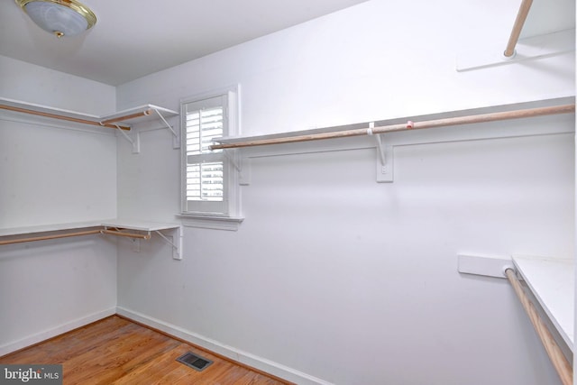 3609 Bradinton, Williamsburg, VA 23188 - walk in closet featuring light wood-type flooring