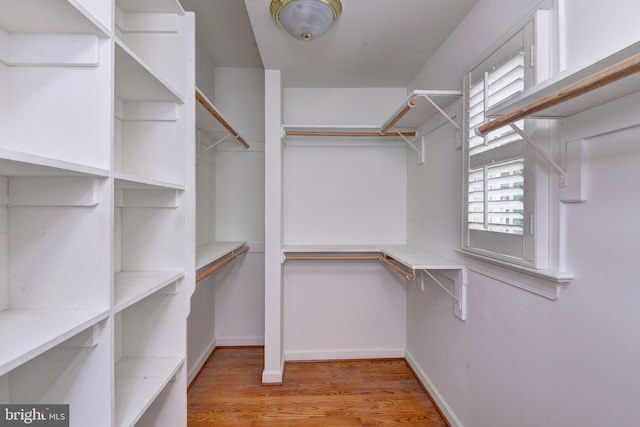 3609 Bradinton, Williamsburg, VA 23188 - walk in closet with wood finished floors