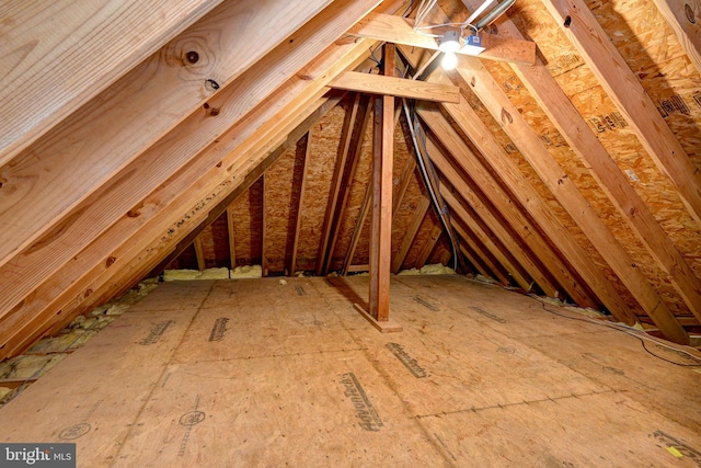 3609 Bradinton, Williamsburg, VA 23188 - view of attic