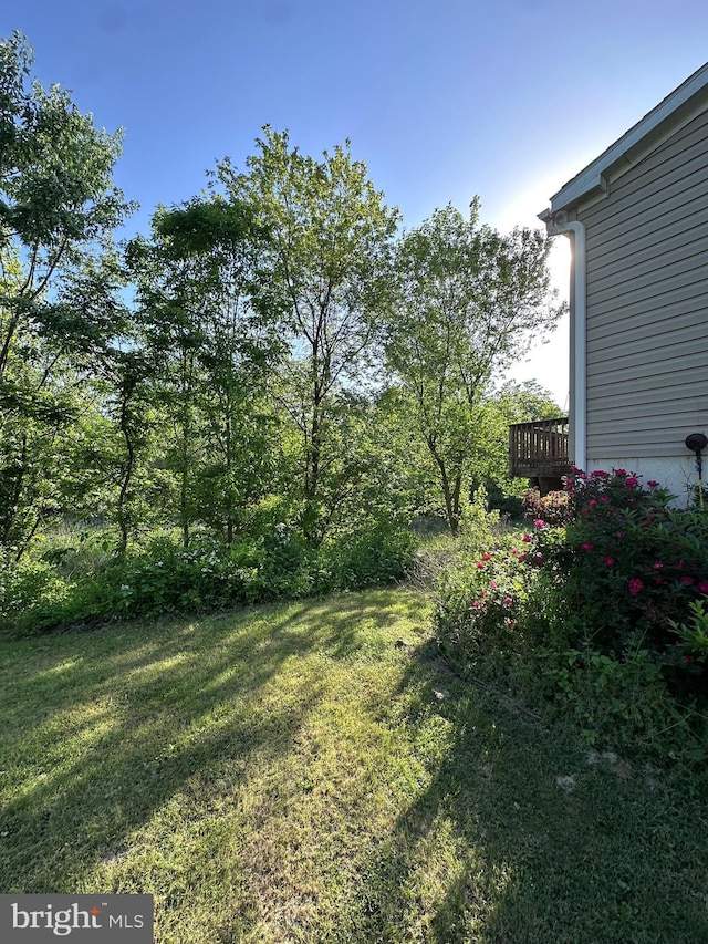525 Old Philadelphia Pike, Douglassville, PA 19518 - view of grassy yard