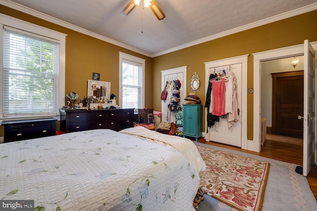 289 Newman Ave, Harrisonburg, VA 22801 - bedroom with wood finished floors, multiple windows, ornamental molding, a ceiling fan, and baseboards