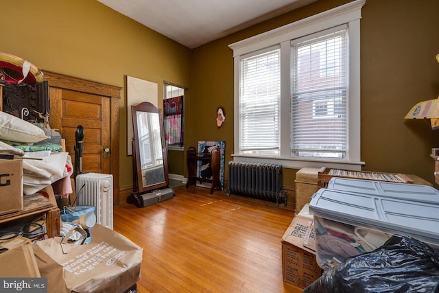 289 Newman Ave, Harrisonburg, VA 22801 - bedroom featuring radiator heating unit, multiple windows, and light wood-style flooring
