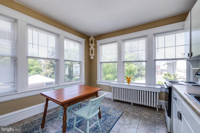 289 Newman Ave, Harrisonburg, VA 22801 - dining area with radiator and baseboards