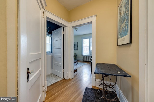 289 Newman Ave, Harrisonburg, VA 22801 - hall featuring wood finished floors, radiator, and baseboards