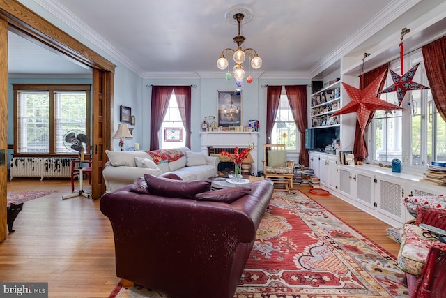 289 Newman Ave, Harrisonburg, VA 22801 - living room featuring radiator, plenty of natural light, light wood-style flooring, ornamental molding, and a fireplace