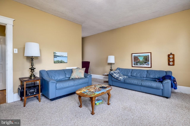 289 Newman Ave, Harrisonburg, VA 22801 - carpeted living area with baseboards and a textured ceiling