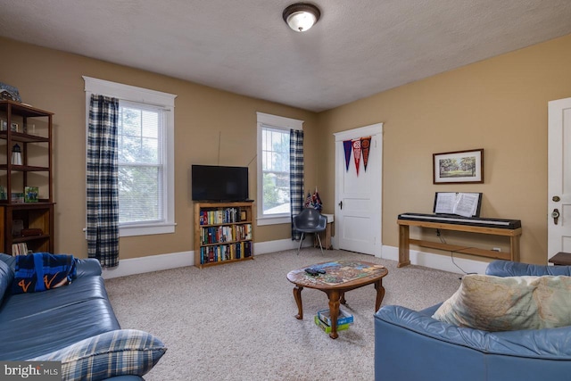 289 Newman Ave, Harrisonburg, VA 22801 - living room with carpet flooring and baseboards