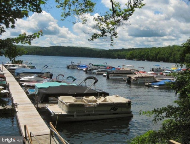 dock area with a water view and a forest view