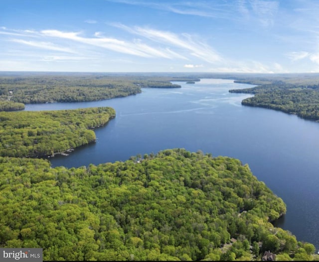 bird's eye view of a forest and a large body of water