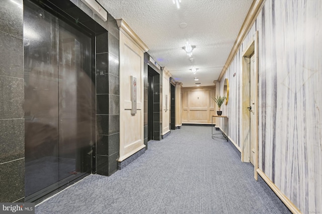 205 E Joppa Rd Unit 403, Baltimore, MD 21286 - corridor featuring carpet and a textured ceiling