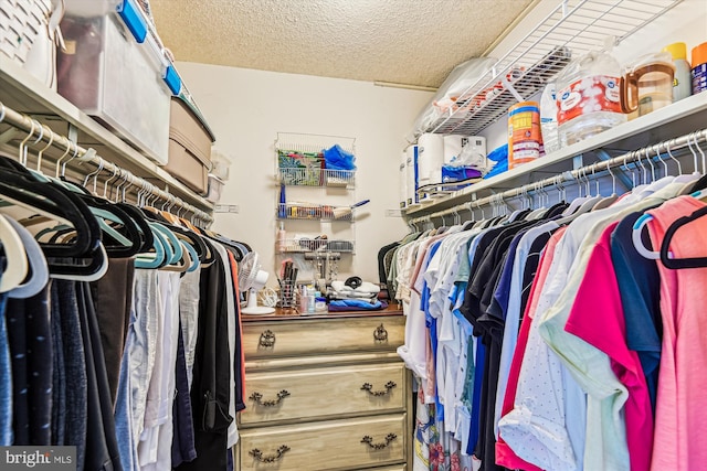 205 E Joppa Rd Unit 403, Baltimore, MD 21286 - view of walk in closet