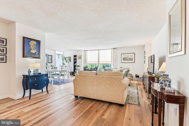 205 E Joppa Rd Unit 403, Baltimore, MD 21286 - living room featuring light wood-type flooring, a textured ceiling, and baseboards