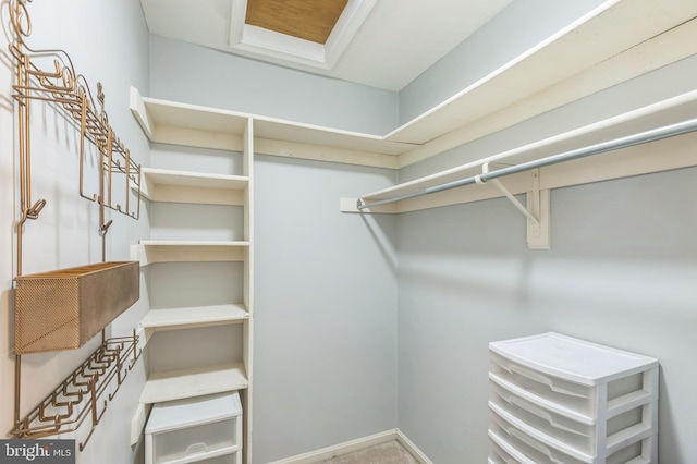 8822 Tanglewood Ln, Manassas, VA 20110 - view of spacious closet