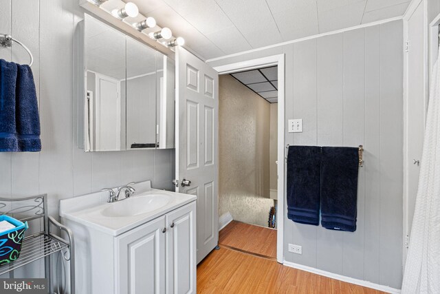 1409 S Clarion St, Philadelphia, PA 19147 - bathroom with wood finished floors and vanity