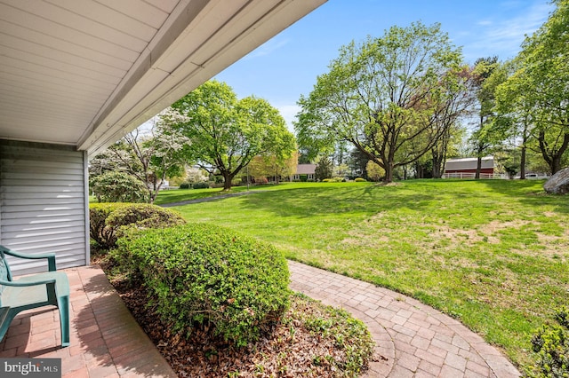 1050 Powderhorn Dr, Glen Mills, PA 19342 - view of grassy yard