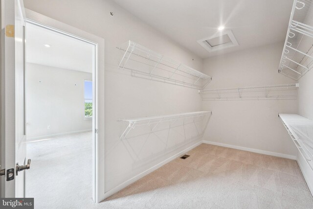 43730 Transit Sq, Ashburn, VA 20147 - spacious closet with carpet flooring and attic access