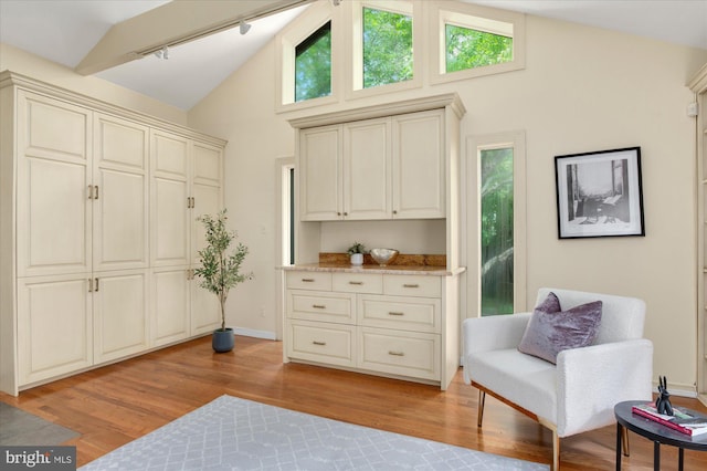 3419 Lowell St NW, Washington, DC 20016 - sitting room with light wood finished floors, high vaulted ceiling, and rail lighting