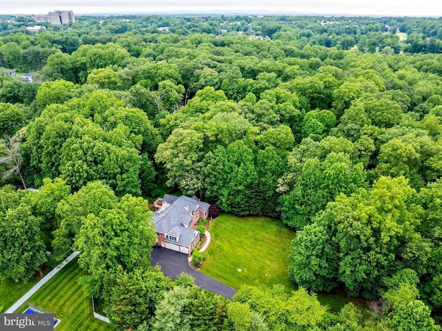 11709 Pine Tree Dr, Fairfax, VA 22033 - aerial view