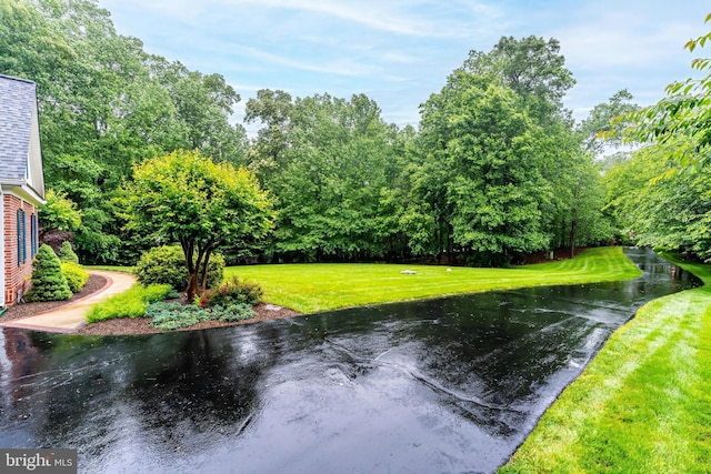 11709 Pine Tree Dr, Fairfax, VA 22033 - view of green lawn featuring a water view and view of scattered trees