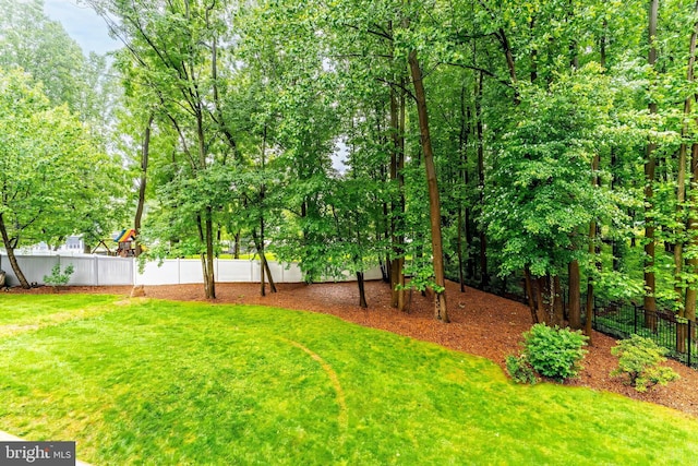 11709 Pine Tree Dr, Fairfax, VA 22033 - view of yard