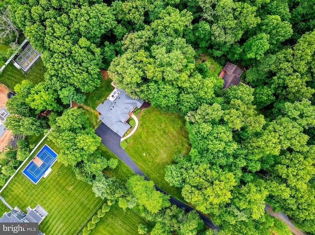 11709 Pine Tree Dr, Fairfax, VA 22033 - aerial overview of property's location