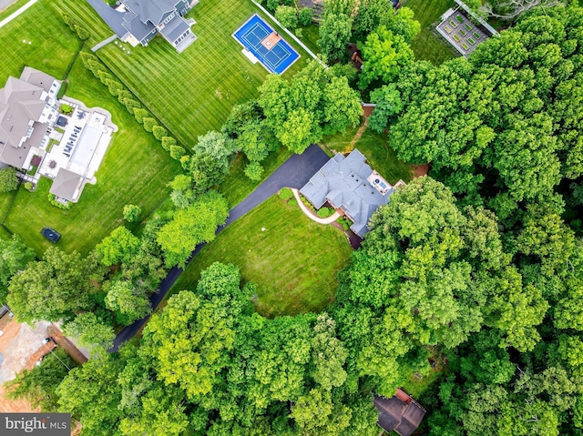 11709 Pine Tree Dr, Fairfax, VA 22033 - view of property location