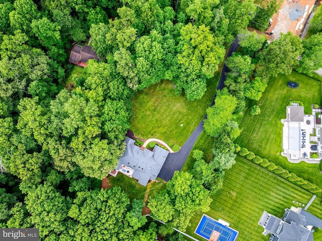 11709 Pine Tree Dr, Fairfax, VA 22033 - view of property location