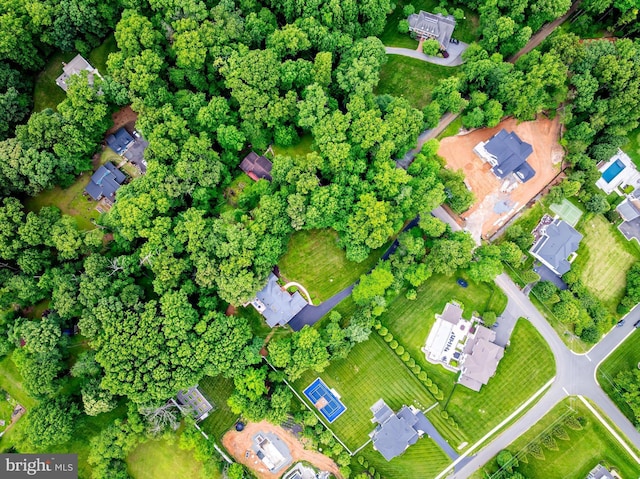 11709 Pine Tree Dr, Fairfax, VA 22033 - aerial view of property's location