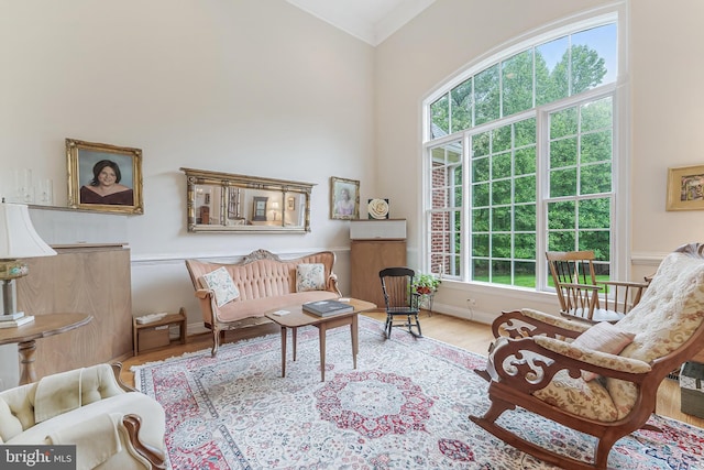 11709 Pine Tree Dr, Fairfax, VA 22033 - living area with healthy amount of natural light and wood finished floors