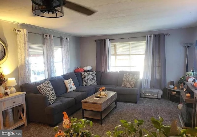 79 Martin Dr, Whiting, NJ 08759 - carpeted living room with ceiling fan