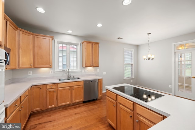 30 Amandas Teal Dr, Bridgeville, DE 19933 - kitchen featuring dishwasher, black electric cooktop, a sink, light wood finished floors, and recessed lighting