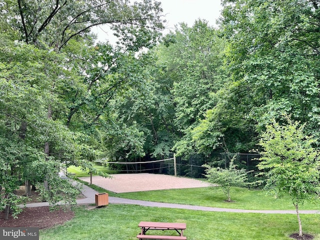 5926 Clermont Landing Ct, Burke, VA 22015 - view of property's community featuring volleyball court and a lawn