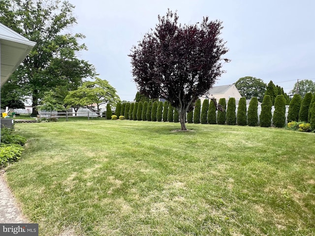 18 Jamaica Way, Hamilton, NJ 08610 - view of yard