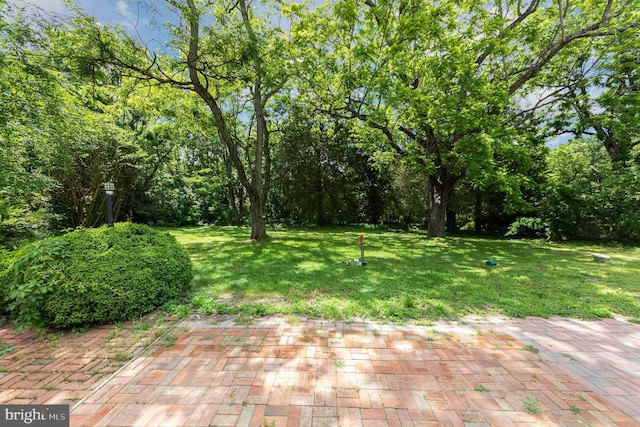 2806 Northumberland Hwy, Lottsburg, VA 22511 - view of green lawn with a patio