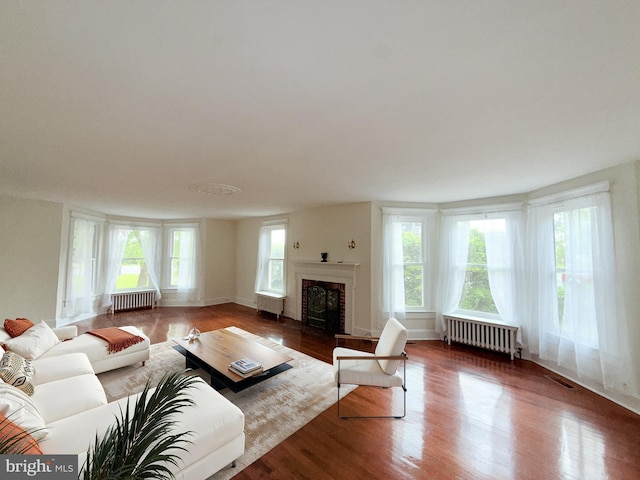 2806 Northumberland Hwy, Lottsburg, VA 22511 - living room with radiator heating unit, wood finished floors, a fireplace, and baseboards