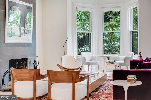 1448 Corcoran St NW, Washington, DC 20009 - living area featuring healthy amount of natural light and a fireplace