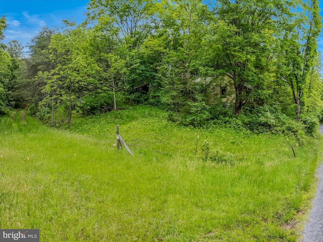 2429 Posey Hollow Rd, Berkeley Springs, WV 25411