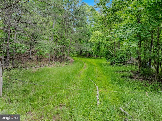 2429 Posey Hollow Rd, Berkeley Springs, WV 25411