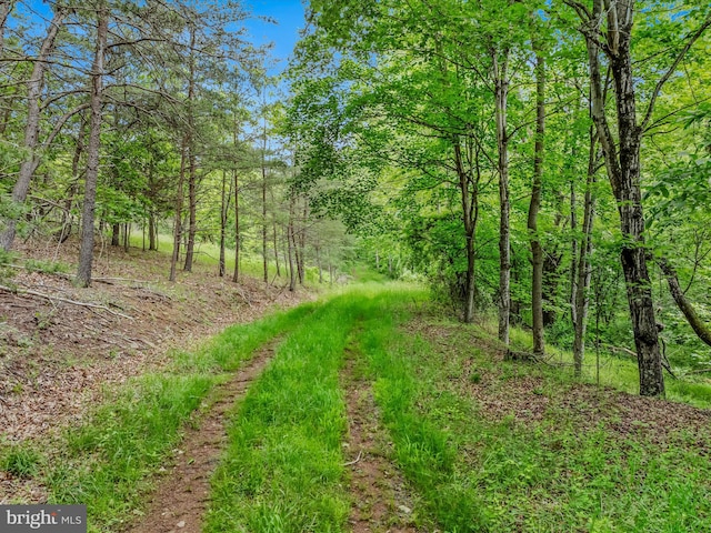 2429 Posey Hollow Rd, Berkeley Springs, WV 25411