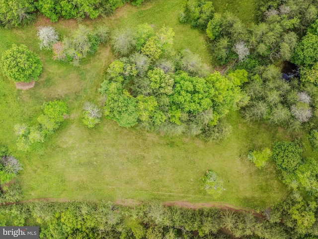 2429 Posey Hollow Rd, Berkeley Springs, WV 25411