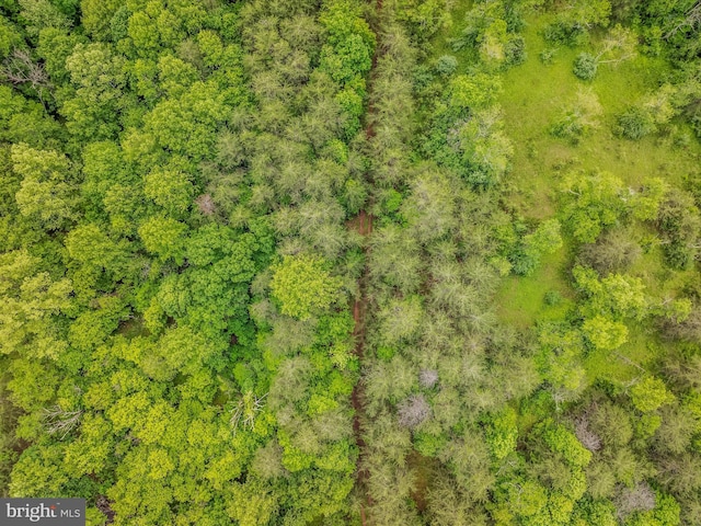 2429 Posey Hollow Rd, Berkeley Springs, WV 25411